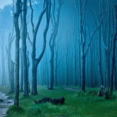 Landscape