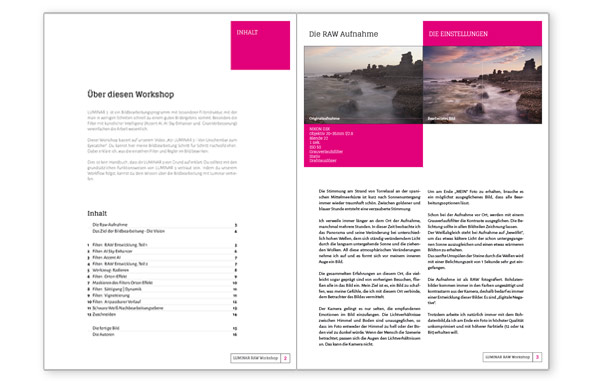 Luminar 3 PDF E-Book Buch